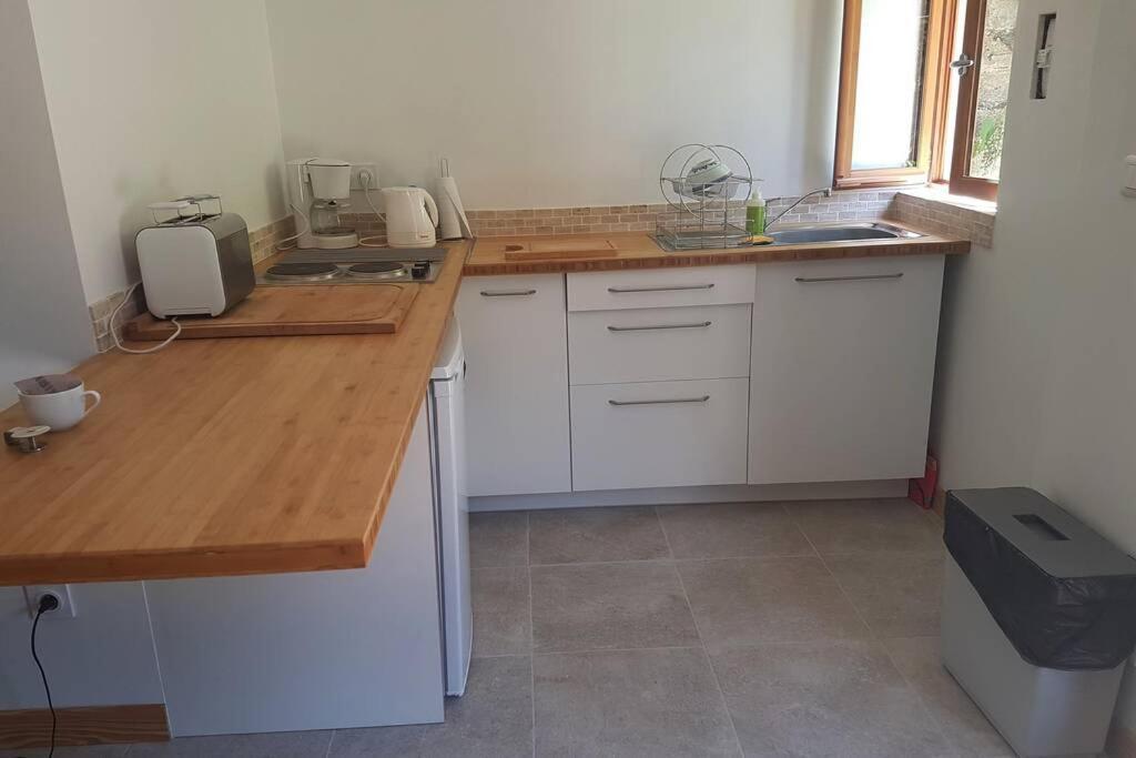 Céret Maison Marijke Garden Studio المظهر الخارجي الصورة