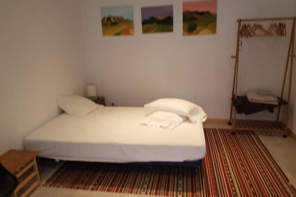 Céret Maison Marijke Garden Studio المظهر الخارجي الصورة
